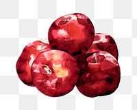 Red apples png watercolor collage element, transparent background. Remixed by rawpixel.