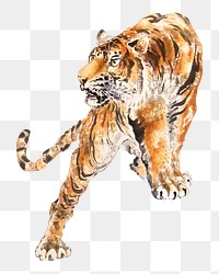 Tiger  png woodblock print, transparent background. Remixed by rawpixel. 