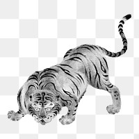 Tiger  png woodblock print, transparent background. Remixed by rawpixel. 