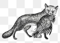 Fox png vintage illustration, transparent background. Remixed by rawpixel. 