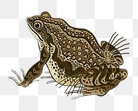 Frog png woodblock print, transparent background. Remixed by rawpixel. 