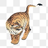 Tiger png woodblock print, transparent background. Remixed by rawpixel. 