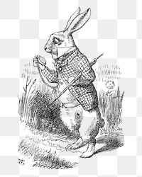 Png Illustration of the first page of Alice's Adventures in Wonderland (1865) by John Tenniel collage element, transparent background