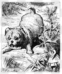 Png Alice's Adventures in Wonderland (1865) by John Tenniel collage element, transparent background