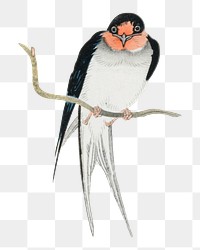 PNG Ohara Koson's swallow, Japanese bird illustration, transparent background. Remixed by rawpixel.