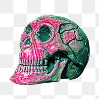 Human skull Halloween png, transparent background