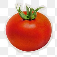 Red tomato png sticker, paper cut on transparent background