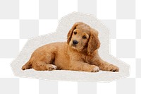 Golden Retriever puppy png pet sticker, paper cut on transparent background