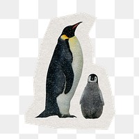 Emperor penguins  png sticker, paper cut on transparent background