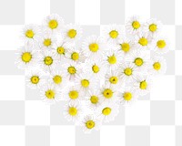 Daisies heart png flower png sticker, transparent background