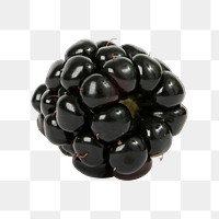 Blackberry fruit png sticker, transparent background