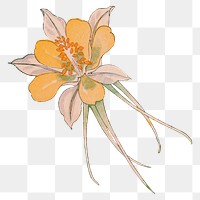 Columbine flower png illustration  sticker, transparent background. Remixed by rawpixel.