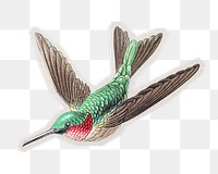 Png colorful hummingbird illustration sticker, paper cut on transparent background