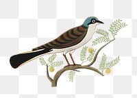 Png vintage Egyptian bird illustration, tombs of Nevoethph and Menothph, transparent background