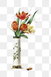 Antique png red flower vintage illustration on transparent background