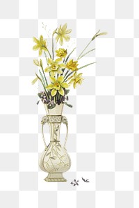 Antique png yellow flower vintage illustration on transparent background