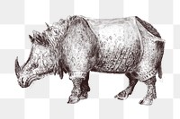 Vintage rhinoceros png animal illustration, transparent background. Remixed by rawpixel. 