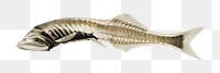 Animal png vintage illustration, deep sea fish on transparent background