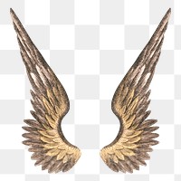 Angel's wings png, vintage illustration on transparent background. Remixed by rawpixel.