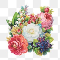 Colorful flowers png, vintage botanical illustration, transparent background. Remixed by rawpixel.