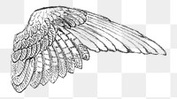 Study of a Wing png illustration by Francis Augustus Lathrop, transparent background. Remixed by rawpixel.