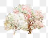 Blooming spring trees png watercolor illustration element, transparent background. Remixed from Joseph Rubens Powell artwork, by rawpixel.