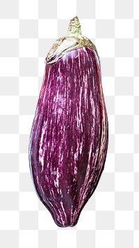 Raw aubergine png, healthy food, transparent background