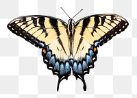 PNG Monarch butterfly , collage element, transparent background