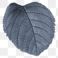 Blue leaf png vintage, transparent background