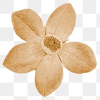 Yellow flower png vintage illustration, transparent background