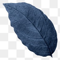 PNG vintage blue leaf, transparent background