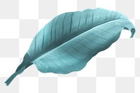 PNG vintage blue leaf, transparent background