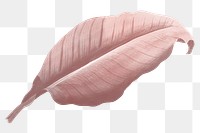 PNG pink Autumn leaf, transparent background