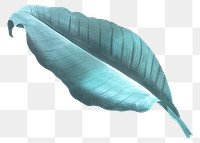 PNG vintage blue leaf, transparent background