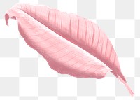 PNG pink Autumn leaf, transparent background