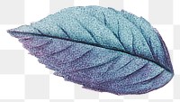 Blue leaf png vintage, transparent background