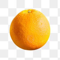 Png orange, transparent background