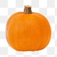 Pumpkin png collage element on transparent background