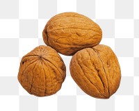 Cocoa seeds png collage element on transparent background