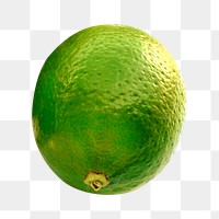 Png lemon, transparent background