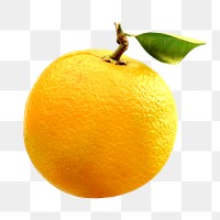 Png lemon, transparent background