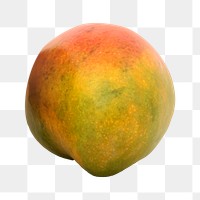 Png mango, transparent background