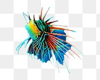 Colorful lionfish png, design element, transparent background
