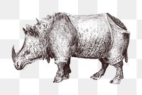 Rhino png vintage illustration, transparent background