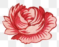 PNG Red rose flower transparent background. Remixed by rawpixel.