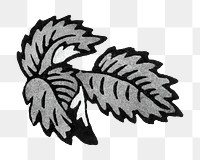 PNG Vintage leaf illustration transparent background. Remixed by rawpixel.