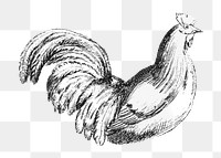 PNG Chicken farm animal sketch illustration transparent background. Remixed by rawpixel.