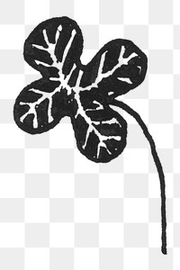 Vintage leaf PNG transparent background. Remixed by rawpixel.