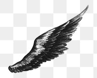 Angel's wing png, vintage illustration on transparent background. Remixed by rawpixel.