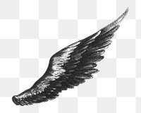 Angel's wing png, vintage illustration on transparent background. Remixed by rawpixel.